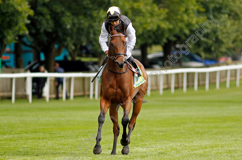 Treasure-Time-0001 
 TREASURE TIME (Marco Ghiani)
Newmarket 13 Jul 2024 - Pic Steven Cargill / Racingfotos.com