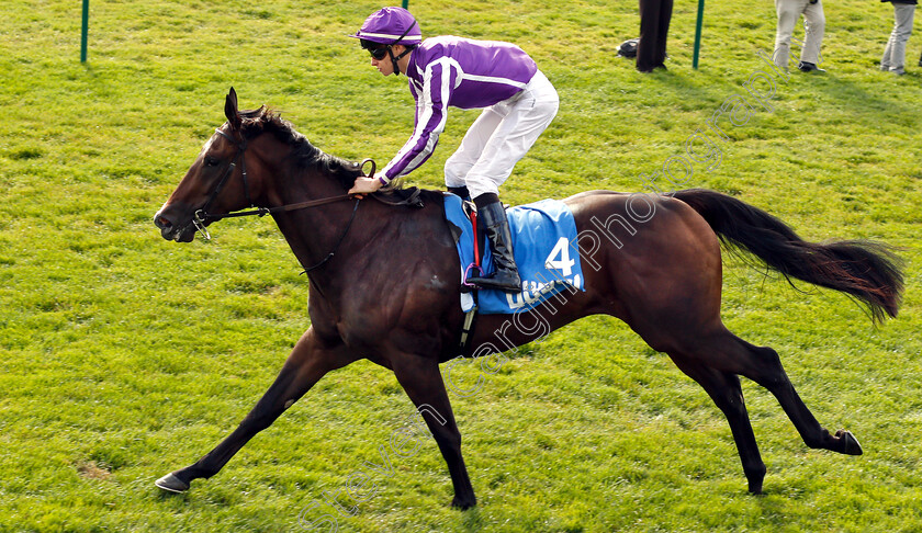 Sergei-Prokofiev-0007 
 SERGEI PROKOFIEV (Donnacha O'Brien) wins The Newmarket Academy Godolphin Beacon Project Cornwallis Stakes
Newmarket 12 Oct 2018 - Pic Steven Cargill / Racingfotos.com