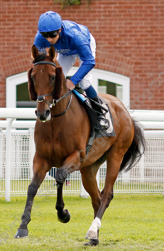 King-Of-Conquest-0005 
 KING OF CONQUEST (William Buick) winner of The William Hill Tapster Stakes
Goodwood 9 Jun 2024 - pic Steven Cargill / Racingfotos.com