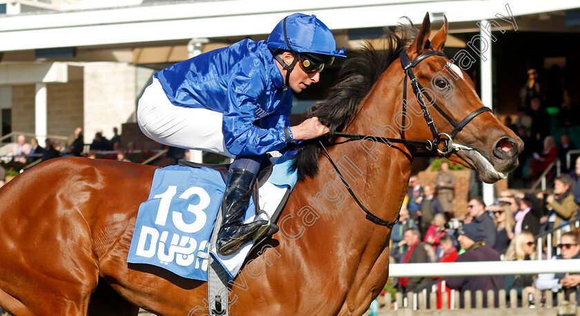 Verse-Of-Love-0002 
 VERSE OF LOVE (William Buick) wins The Godolphin Under Starters Orders Maiden Fillies Stakes
Newmarket 11 Oct 2024 - pic Steven Cargill / Racingfotos.com