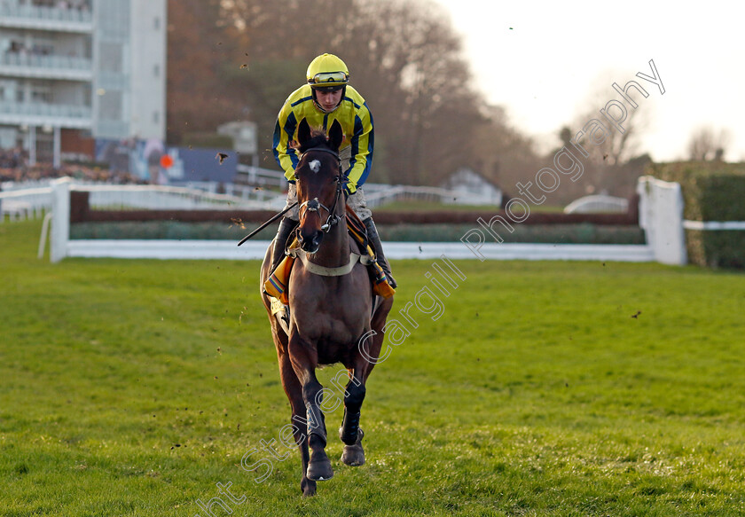 Haddex-Des-Obeaux-0001 
 HADDEX DES OBEAUX (Jack Tudor)
Sandown 9 Dec 2023 - Pic Steven Cargill / Racingfotos.com