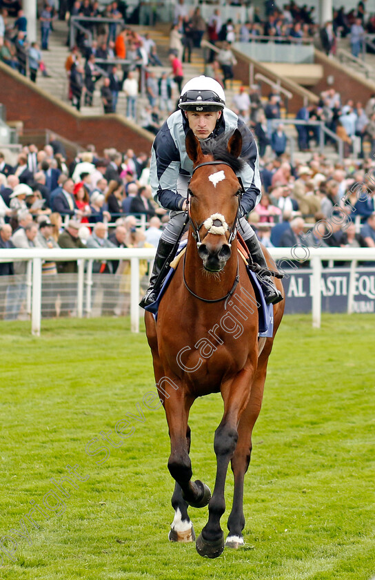 Passenger-0003 
 PASSENGER (Richard Kingscote)
York 18 May 2023 - Pic Steven Cargill / Racingfotos.com