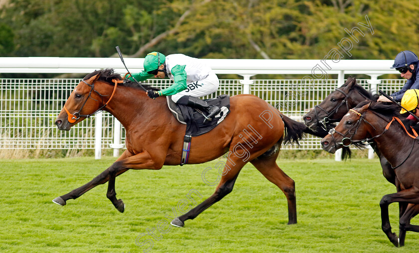 Haatem-0001 
 HAATEM (Sean Levey) wins The Nicholson Gin Vintage Stakes
Goodwood 1 Aug 2023 - Pic Steven Cargill / Racingfotos.com