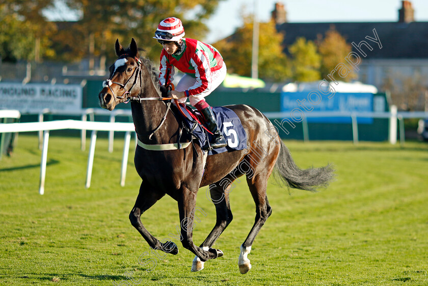 Havechatma-0002 
 HAVECHATMA (Cieren Fallon)
Yarmouth 18 Oct 2022 - Pic Steven Cargill / Racingfotos.com