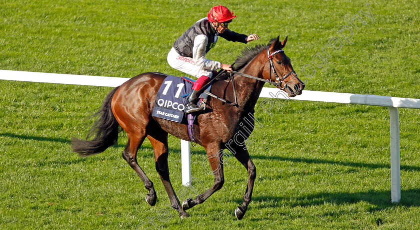 Star-Catcher-0007 
 STAR CATCHER (Frankie Dettori) after The Qipco British Champions Fillies & Mares Stakes
Ascot 19 Oct 2019 - Pic Steven Cargill / Racingfotos.com