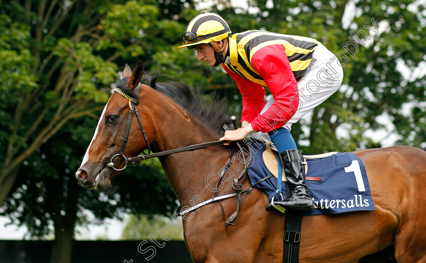 Champers-Elysees-0002 
 CHAMPERS ELYSEES (Ben Coen)
Newmarket 9 Jul 2021 - Pic Steven Cargill / Racingfotos.com