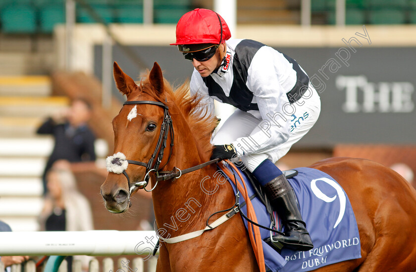 Leitzel-0001 
 LEITZEL (Jim Crowley)
Newmarket 23 Sep 2022 - Pic Steven Cargill / Racingfotos.com