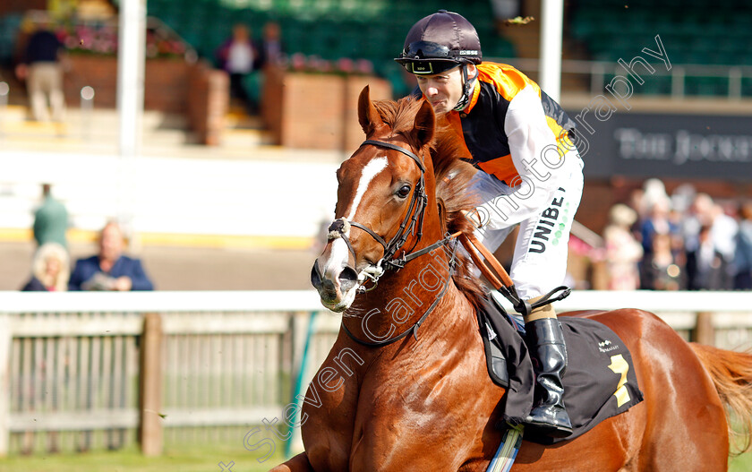 Adjourn-0001 
 ADJOURN (Jamie Spencer)
Newmarket 23 Sep 2021 - Pic Steven Cargill / Racingfotos.com