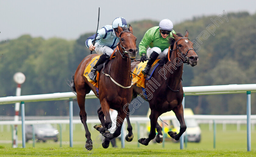 Epic-Poet-0004 
 EPIC POET (left, Daniel Tudhope) beats WAXING GIBBOUS (right) in The Betfair Old Borough Cup
Haydock 7 Sep 2024 - Pic Steven Cargill / Racingfotos.com