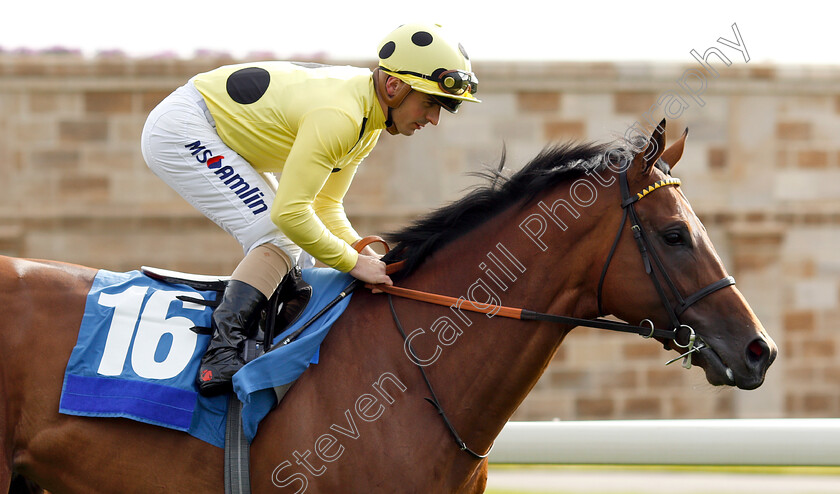 Zeelander-0002 
 ZEELANDER (Andrea Atzeni) 
York 16 May 2018 - Pic Steven Cargill / Racingfotos.com