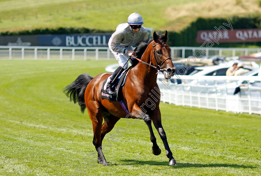 King s-Gamble-0001 
 KING'S GAMBLE (Daniel Tudhope)
Goodwood 2 Aug 2024 - Pic Steven Cargill / Racingfotos.com