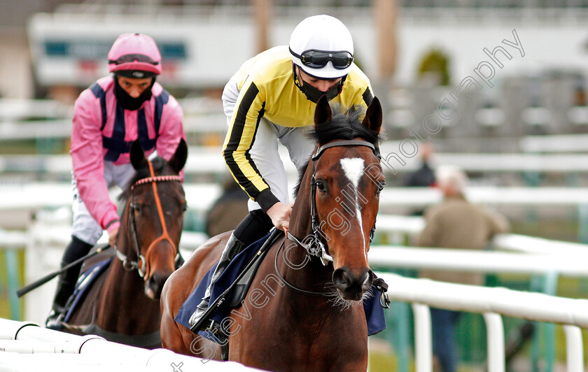 George-Peabody-0001 
 GEORGE PEABODY (Callum Shepherd) winner of The Unibet Novice Stakes Div1
Doncaster 28 Mar 2021 - Pic Steven Cargill / Racingfotos.com