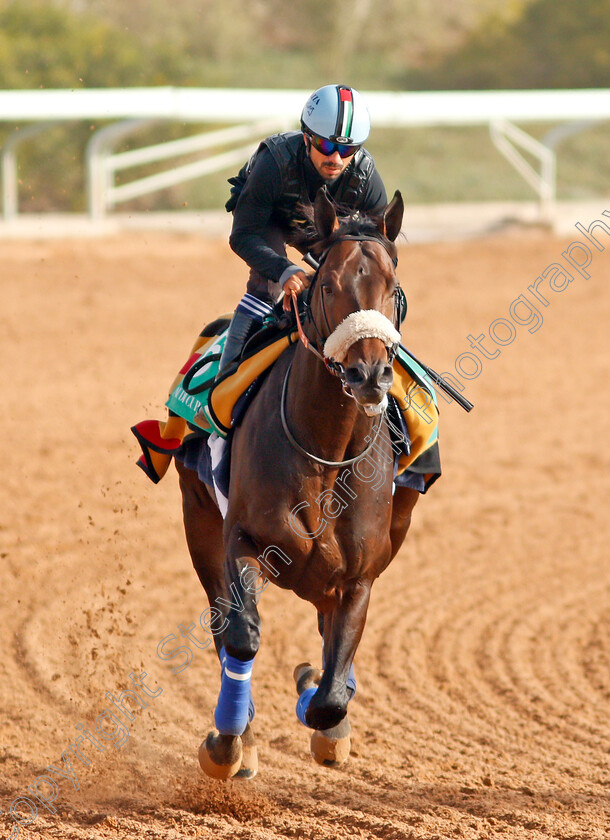 Gronkowski-0003 
 GRONKOWSKI preparing for The Saudi Cup
Riyadh Racetrack, Kingdom Of Saudi Arabia, 27 Feb 2020 - Pic Steven Cargill / Racingfotos.com