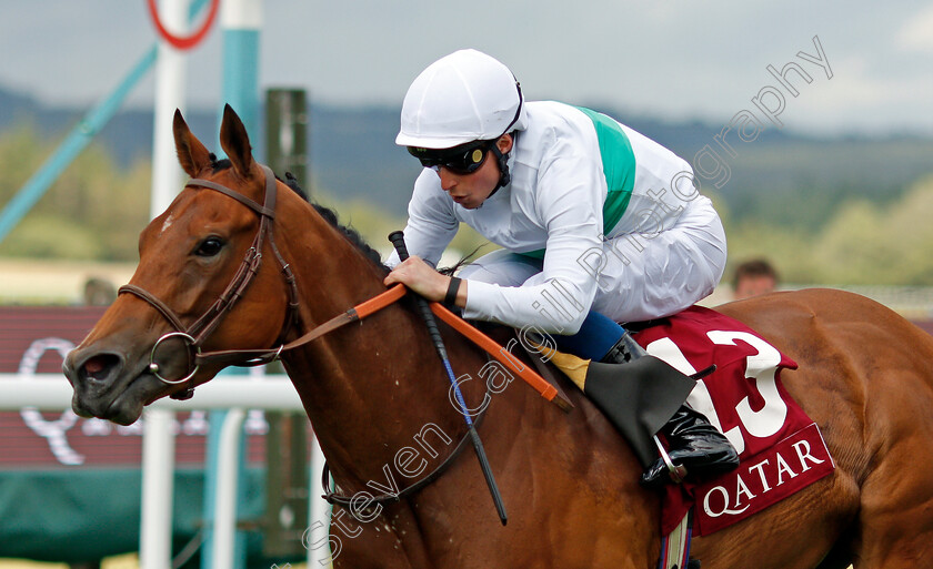 Suesa-0004 
 SUESA (William Buick) wins The King George Qatar Stakes
Goodwood 30 Jul 2021 - Pic Steven Cargill / Racingfotos.com