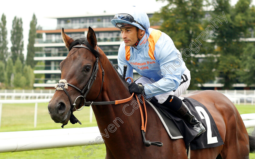 Boitron-0001 
 BOITRON (Silvestre De Sousa) before winning The Denford Stakes
Newbury 18 Aug 2018 - Pic Steven Cargill / Racingfotos.com