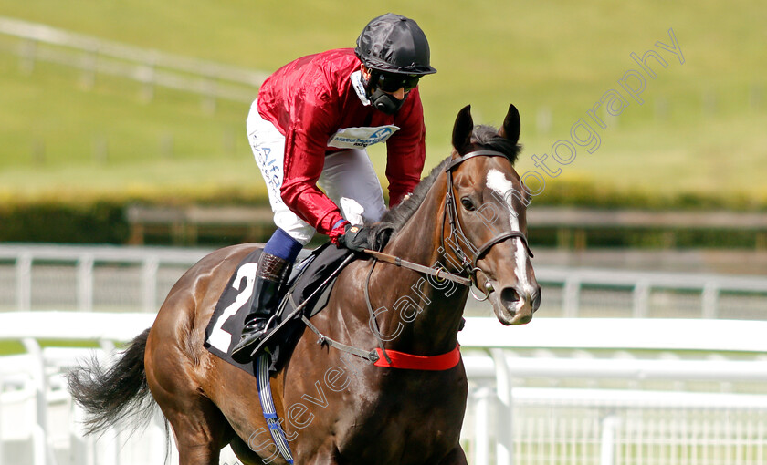 Smuggler-0001 
 SMUGGLER (Jim Crowley)
Goodwood 28 Aug 2020 - Pic Steven Cargill / Racingfotos.com