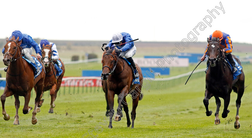 Shadow-Of-Light-0004 
 SHADOW OF LIGHT (left, William Buick) beats EXPANDED (right) and ANCIENT TRUTH (centre) in The Darley Dewhurst Stakes
Newmarket 12 Oct 2024 - Pic Steven Cargill / Racingfotos.com