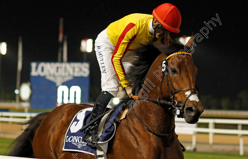 GM-Hopkins-0001 
 GM HOPKINS (Richard Mullen)
Meydan 9 Jan 2020 - Pic Steven Cargill / Racingfotos.com