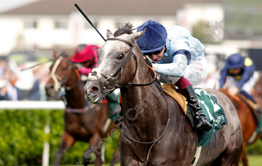 Harrow-0006 
 HARROW (Oisin Murphy) wins The Weatherbys Scientific £200,000 2-y-o Stakes
Doncaster 9 Sep 2021 - Pic Steven Cargill / Racingfotos.com