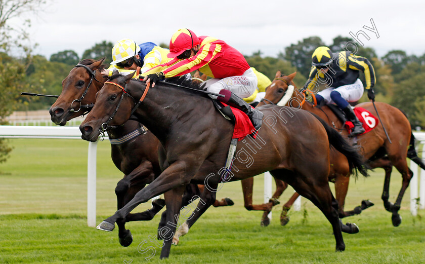 Lil-Guff-0003 
 LIL GUFF (Oisin Murphy) wins The Do Not Miss Live Music Nights Handicap
Sandown 25 Jul 2024 - Pic Steven Cargill / Racingfotos.com