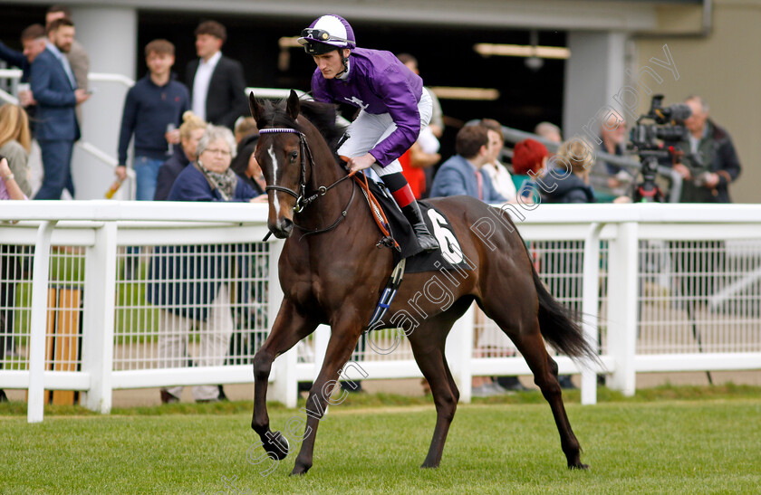 Enchanting-Empress-0006 
 ENCHANTING EMPRESS (David Egan) winner of The Royal Ascot Two-Year-Old Trial EBF Conditions Stakes
Ascot 1 May 2024 - Pic Steven Cargill / Racingfotos.com