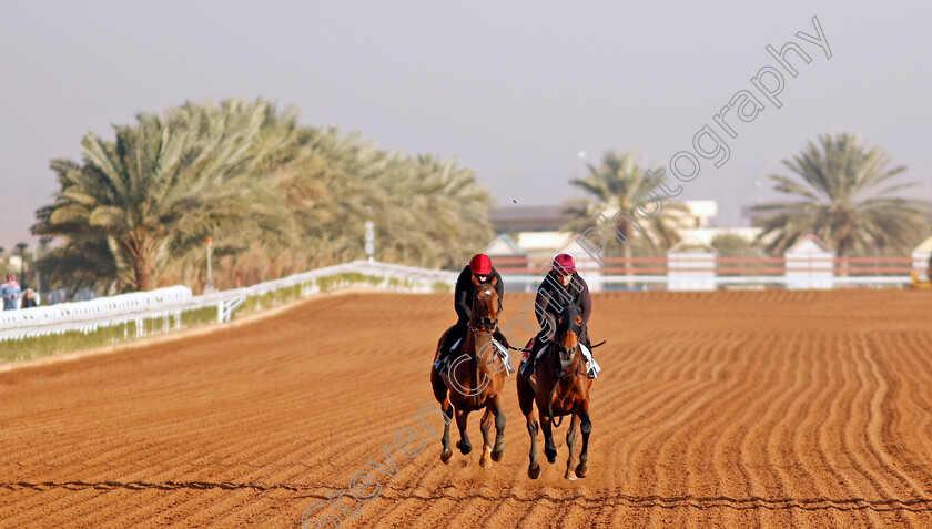 Luxembourg-and-Tower-Of-London-0001 
 LUXEMBOURG (left) with TOWER OF LONDON (right) training at The Saudi Cup
King Abdulaziz Racecourse, Saudi Arabia 21 Feb 2024 - Pic Steven Cargill / Racingfotos.com