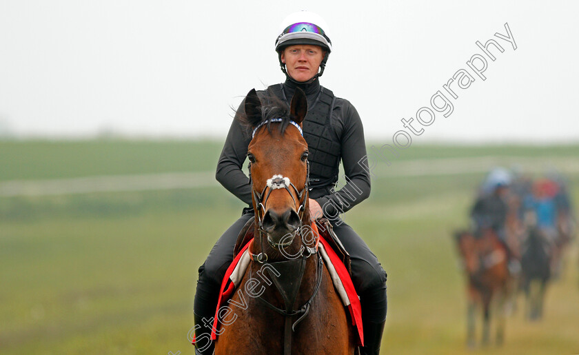 Battaash-0011 
 BATTAASH (Michael Murphy) after exercising on the gallops, Lambourn 23 May 2018 - Pic Steven Cargill / Racingfotos.com