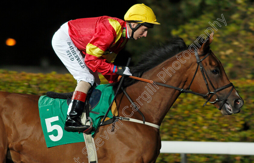 Calvados-Spirit-0001 
 CALVADOS SPIRIT (Martin Dwyer) Kempton 11 Oct 2017 - Pic Steven Cargill / Racingfotos.com