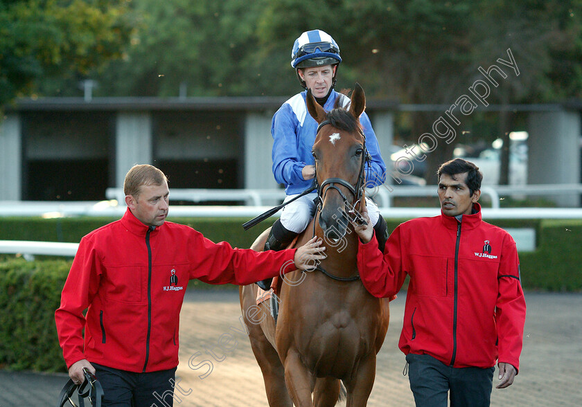 Nomoathaj-0001 
 NOMOATHAJ (Jim Crowley)
Kempton 15 Aug 2018 - Pic Steven Cargill / Racingfotos.com