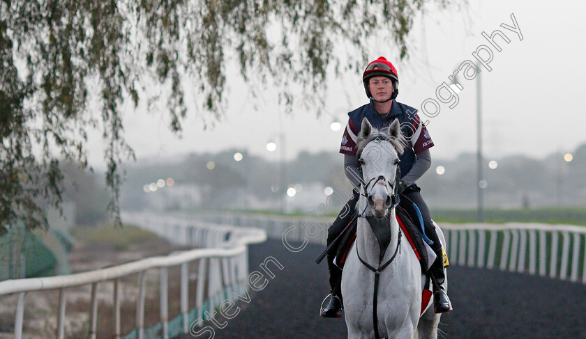 Lord-Glitters-0005 
 LORD GLITTERS training for The Dubai Turf
Meydan, Dubai, 24 Mar 2022 - Pic Steven Cargill / Racingfotos.com