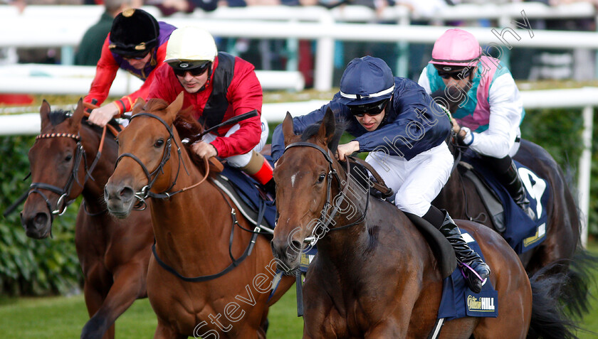 Fleeting-0005 
 FLEETING (Donnacha O'Brien) wins The William Hill May Hill Stakes
Doncaster 13 Sep 2018 - Pic Steven Cargill / Racingfotos.com