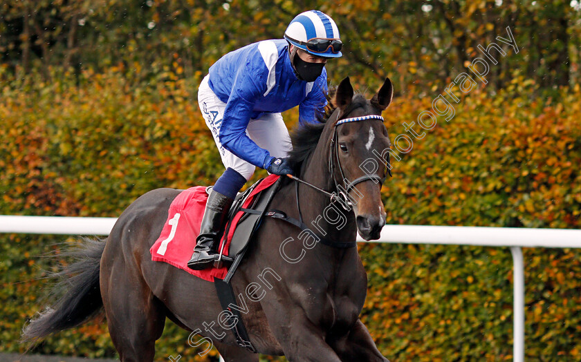 Jaariyah-0001 
 JAARIYAH (Jim Crowley)
Kempton 2 Nov 2020 - Pic Steven Cargill / Racingfotos.com