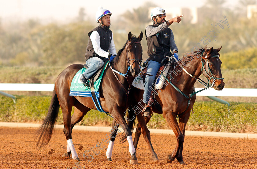 Midnight-Bisou-0002 
 MIDNIGHT BISOU preparing for The Saudi Cup
Riyadh Racetrack, Kingdom Of Saudi Arabia, 27 Feb 2020 - Pic Steven Cargill / Racingfotos.com