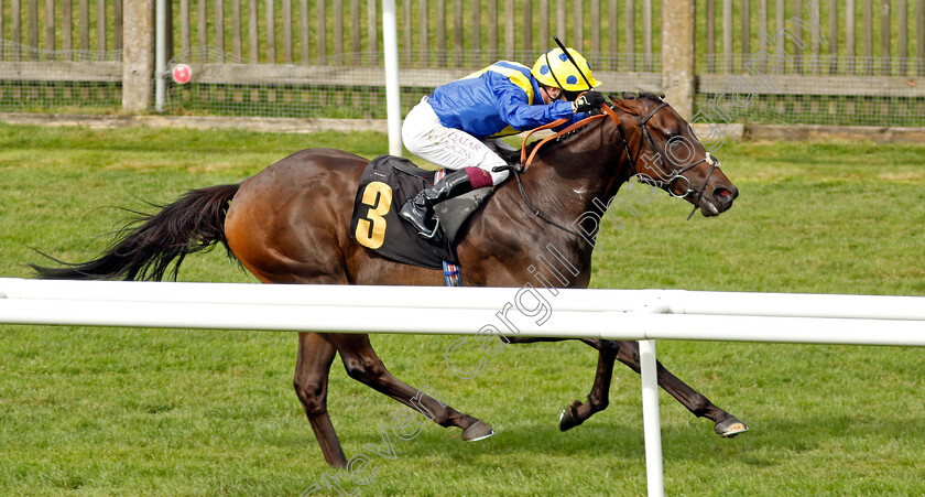 Mount-Teide-0003 
 MOUNT TEIDE (Oisin Murphy) wins The Jenningsbet Treble Odds Lucky 15 Handicap
Newmarket 10 Aug 2024 - Pic Steven Cargill / Racingfotos.com