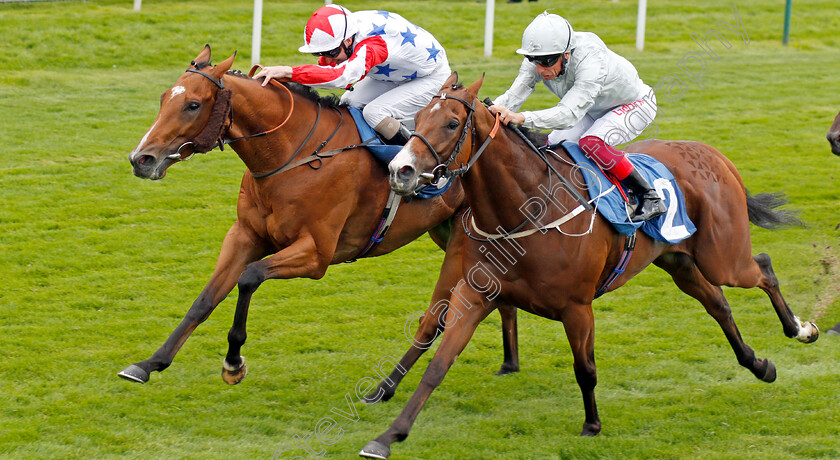 What s-The-Story-0004 
 WHAT'S THE STORY (left, Joe Fanning) beats VALE OF KENT (right) in The Clipper Logistics Handicap
York 22 Aug 2019 - Pic Steven Cargill / Racingfotos.com