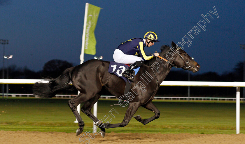 Waliyak-0004 
 WALIYAK (Jack Mitchell) wins The Ladbrokes Fillies Novice Stakes
Wolverhampton 26 Nov 2019 - Pic Steven Cargill / Racingfotos.com