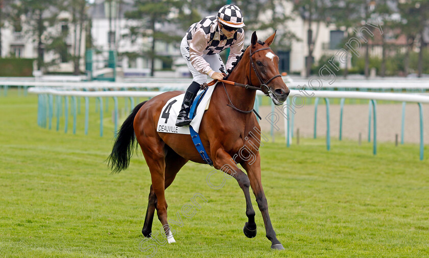 Perama-0002 
 PERAMA (Maxime Guyon)
Deauville 13 Aug 2023 - Pic Steven Cargill / Racingfotos.com