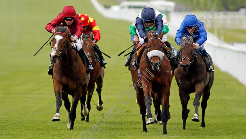 Masekela-0005 
 MASEKELA (centre, Oisin Murphy) beats GOLDEN WAR (left) and FALL OF ROME (right) in The British EBF Novice Stakes
Goodwood 21 May 2021 - Pic Steven Cargill / Racingfotos.com