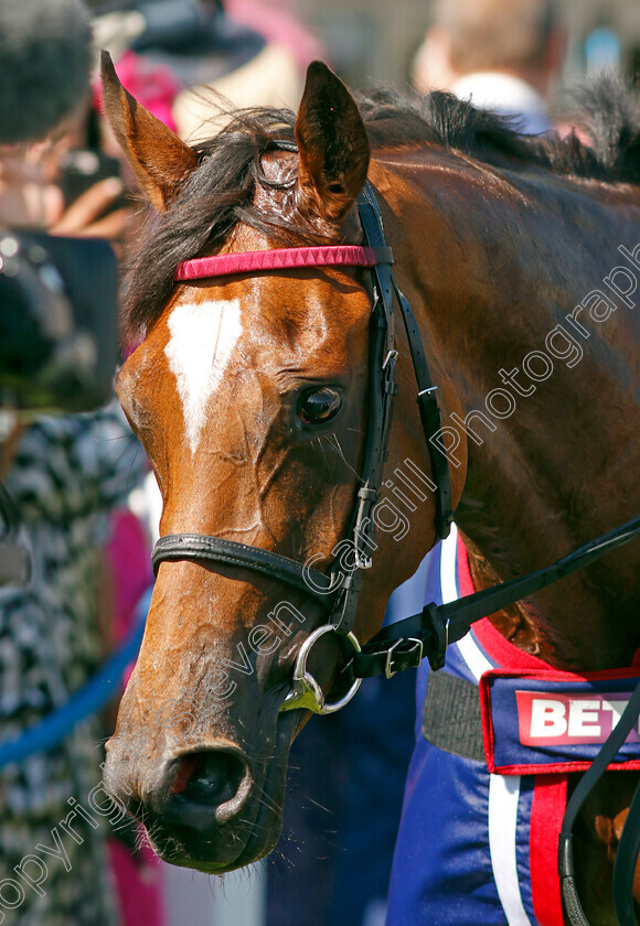 Soul-Sister-0018 
 SOUL SISTER winner of The Betfred Oaks 
Epsom 2 Jun 2023 - pic Steven Cargill / Racingfotos.com