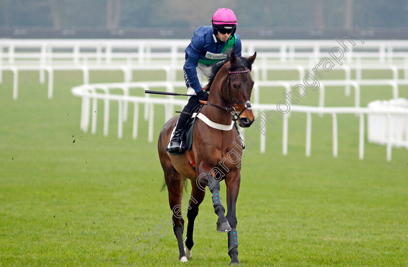 St-Pancras-0001 
 ST PANCRAS (Kevin Brogan)
Ascot 18 Jan 2025 - Pic Steven Cargill / Racingfotos.com