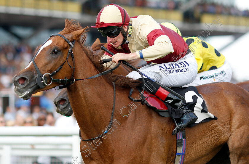 Red-Tea-0005 
 RED TEA (Adam Kirby) wins The EBF Breeders Series Fillies Handicap
Newbury 21 Jul 2018 - Pic Steven Cargill / Racingfotos.com