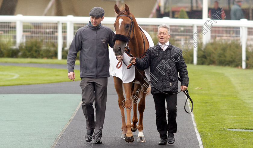 Narak-0009 
 NARAK 
Newbury 13 Jun 2019 - Pic Steven Cargill / Racingfotos.com