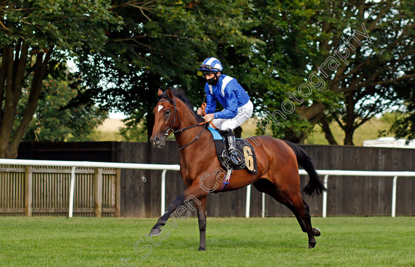 Laasudood-0001 
 LAASUDOOD (Dane O'Neill)
Newmarket 6 Aug 2021 - Pic Steven Cargill / Racingfotos.com