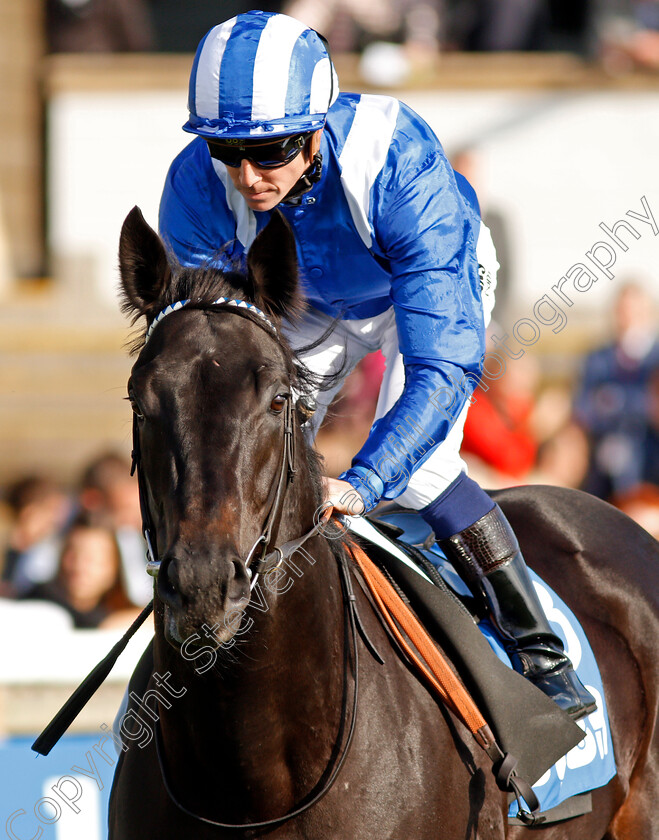 Wafy-0001 
 WAFY (Jim Crowley) Newmarket 14 Oct 2017 - Pic Steven Cargill / Racingfotos.com