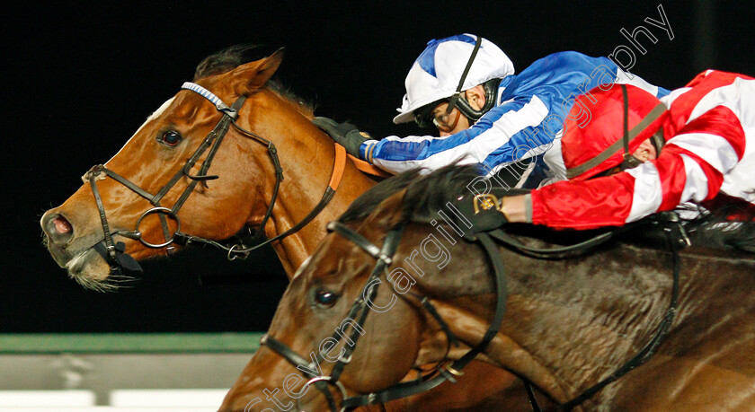 Johnny-Drama-0007 
 JOHNNY DRAMA (farside, Silvestre De Sousa) beats SINJAARI (nearside) in The Unibet Wild Flower Stakes
Kempton 2 Dec 2020 - Pic Steven Cargill / Racingfotos.com