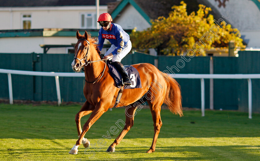 Fletcher s-Flight-0001 
 FLETCHER'S FLIGHT (Adam Farragher)
Yarmouth 22 Oct 2024 - Pic Steven Cargill / Racingfotos.com