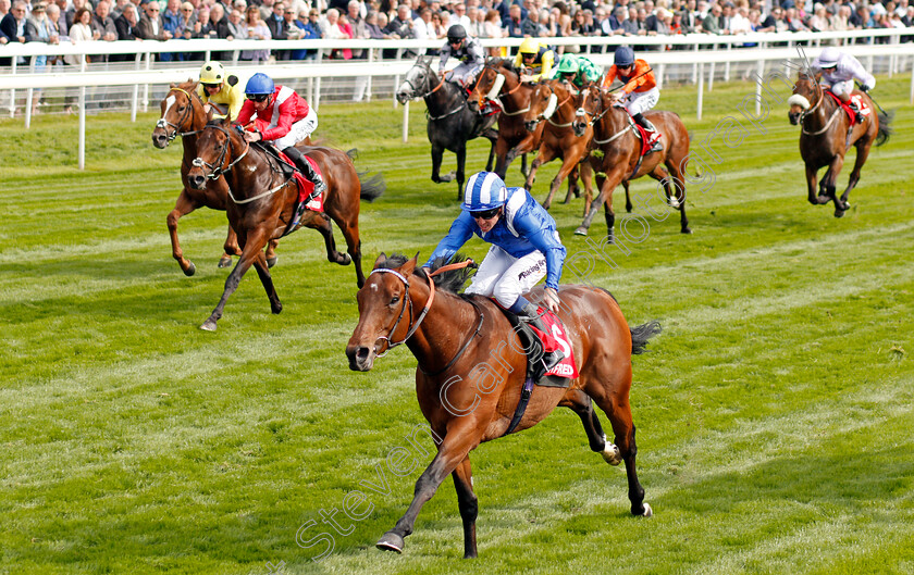 Afaak-0004 
 AFAAK (Jim Crowley) wins The Betfred TV Hambleton Handicap York 17 May 2018 - Pic Steven Cargill / Racingfotos.com