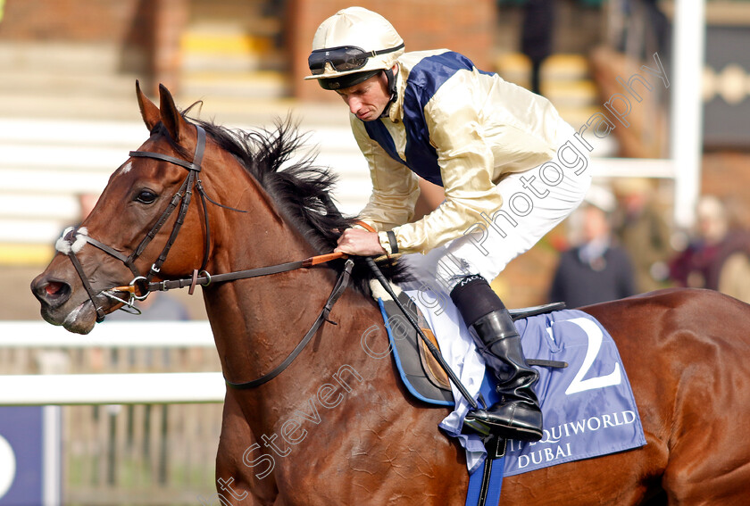 Sirona-0008 
 SIRONA (Ryan Moore) winner of The Al Basti Equiworld Dubai British EBF Rosemary Stakes
Newmarket 27 Sep 2024 - Pic Steven Cargill / Racingfotos.com