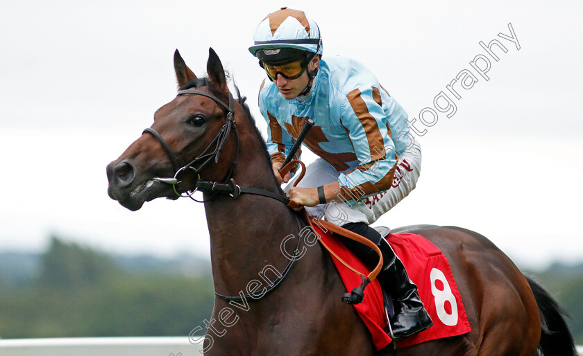 Stormy-Monday-0002 
 STORMY MONDAY (Tom Marquand)
Sandown 8 Aug 2024 - Pic Steven Cargill / Racingfotos.com