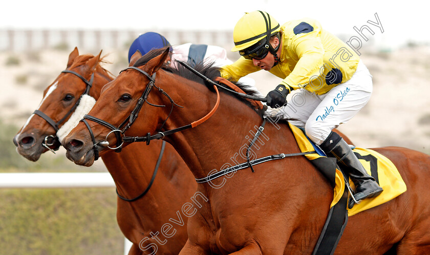 Hello-0004 
 HELLO (Tadhg O'Shea) wins The British University In Dubai Handicap
Jebel Ali 24 Jan 2020 - Pic Steven Cargill / Racingfotos.com